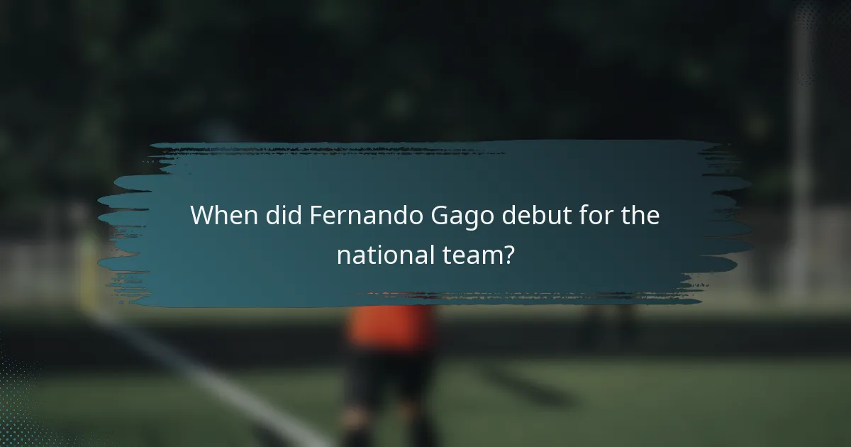 When did Fernando Gago debut for the national team?